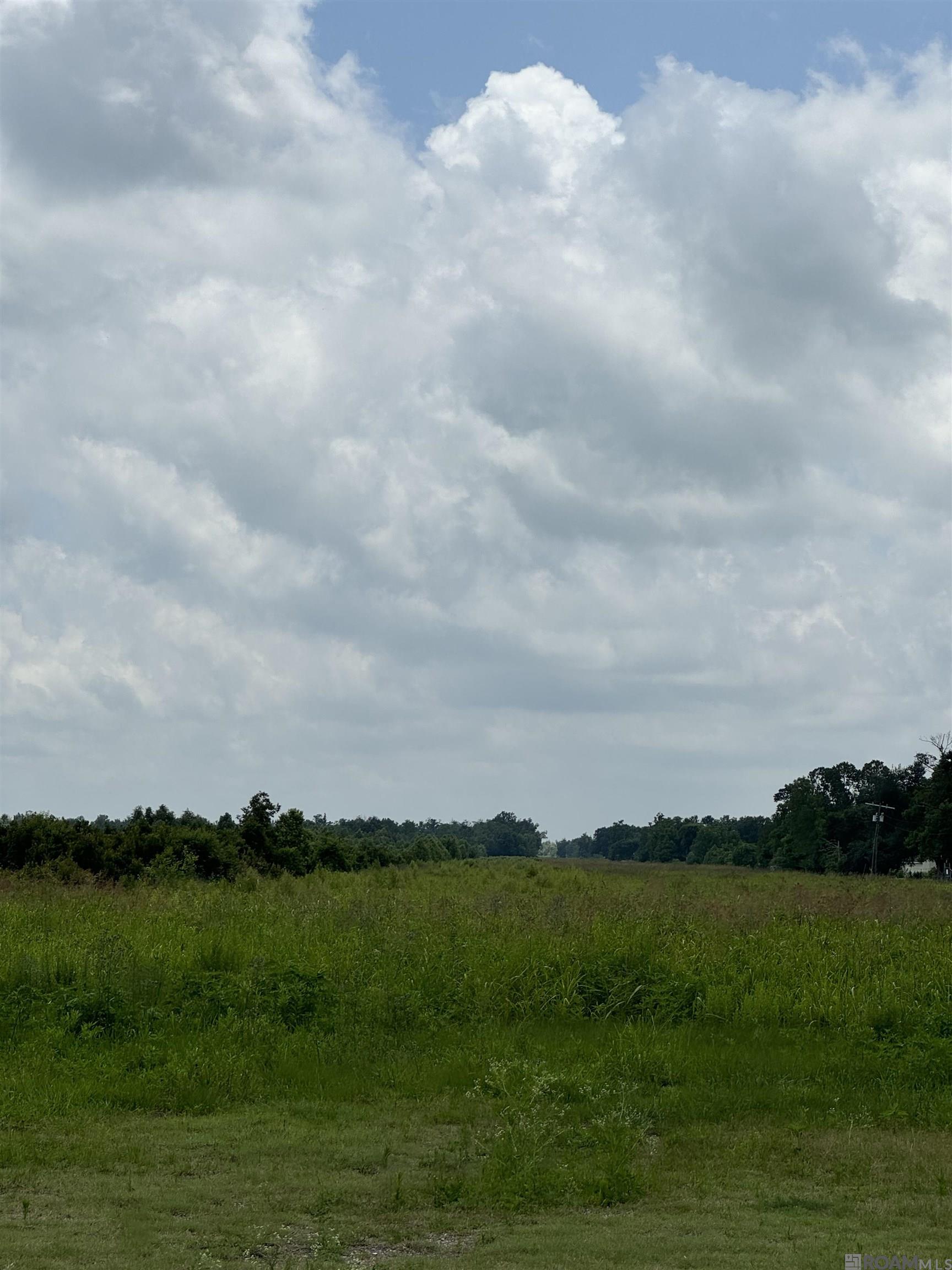 TBD Hwy 1, Raceland, Louisiana image 8