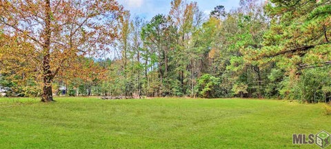 Vacant Land For Sale - 36793 Cryer Rd<br/> Denham Springs, LA 70706