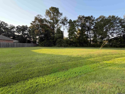 Vacant Land For Sale - TRACT 3-A-2 Dunn Rd<br/> Livingston County, Denham Springs, LA 70726