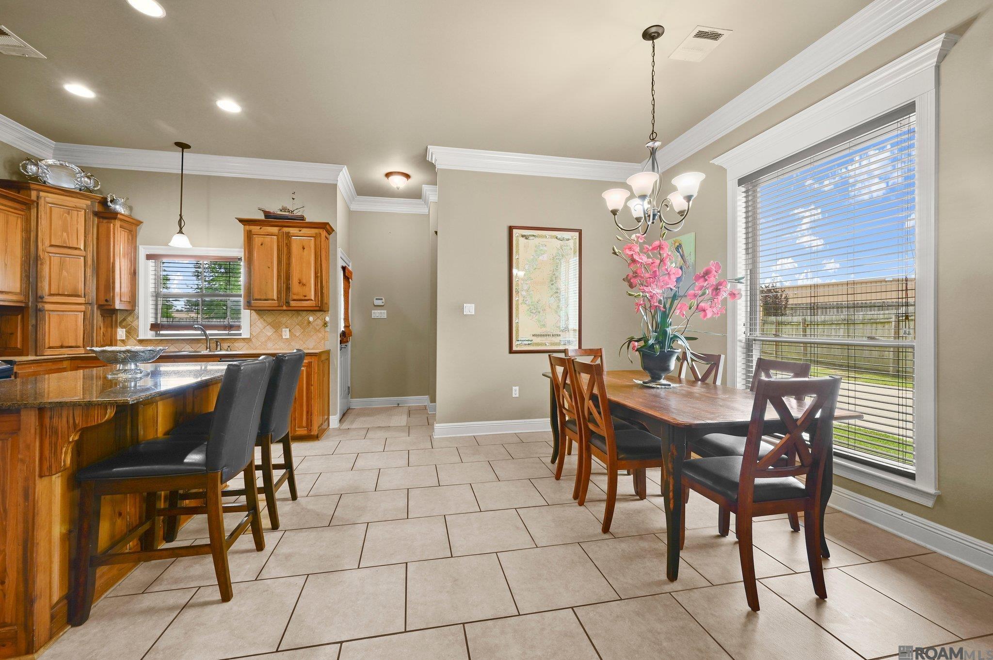 14518 Tanya Dr, Gonzales, Louisiana image 9