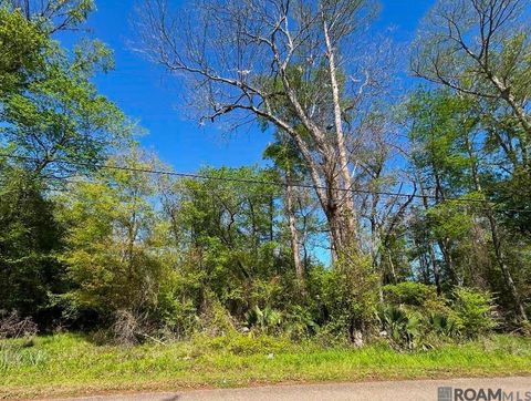 Vacant Land For Sale - LOT 23 La Trace Rd<br/> Livingston, LA 70754