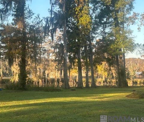 Vacant Land For Sale - 14287 Old River Rd<br/> Maurepas, LA 70449