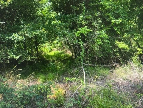 Vacant Land For Sale - LOT-139 Amite River Rd<br/> Baton Rouge, LA 70817