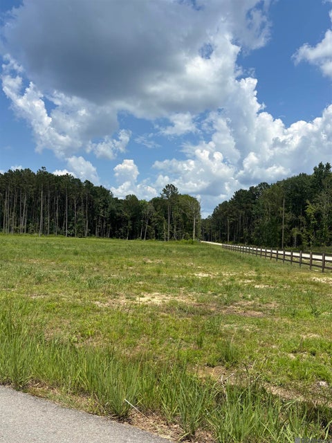 Vacant Land For Sale - 34740 Clinton Allen Rd<br/> Livingston County, Denham Springs, LA 70706