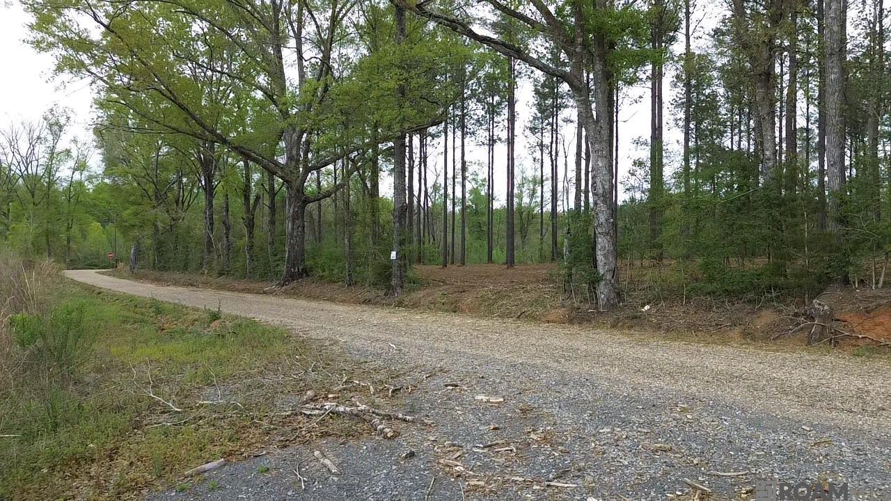 Tract D Monroe Stevens Rd, Kentwood, Louisiana image 6