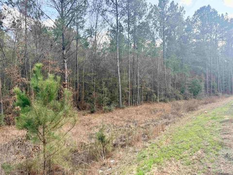 Vacant Land For Sale - TBD Hwy 1036 Highway<br/> Holden, LA 70744