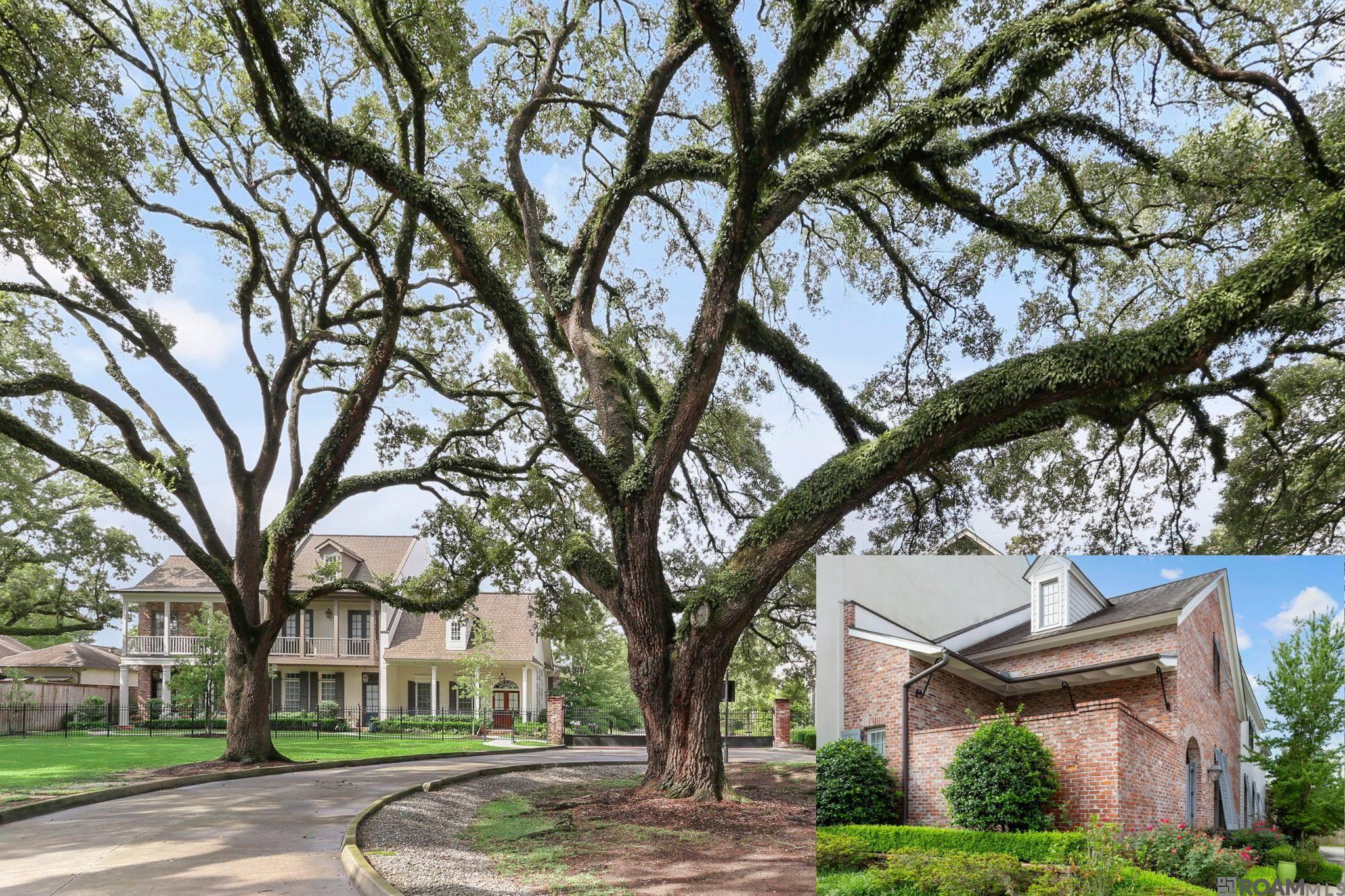 4025 Perkins Ln Alley, Baton Rouge, Louisiana image 1