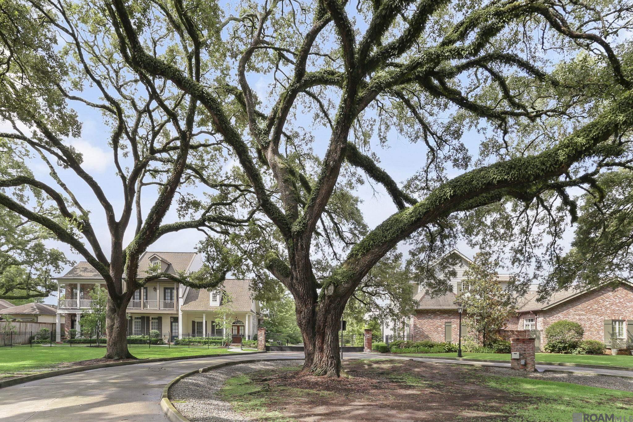 4025 Perkins Ln Alley, Baton Rouge, Louisiana image 25