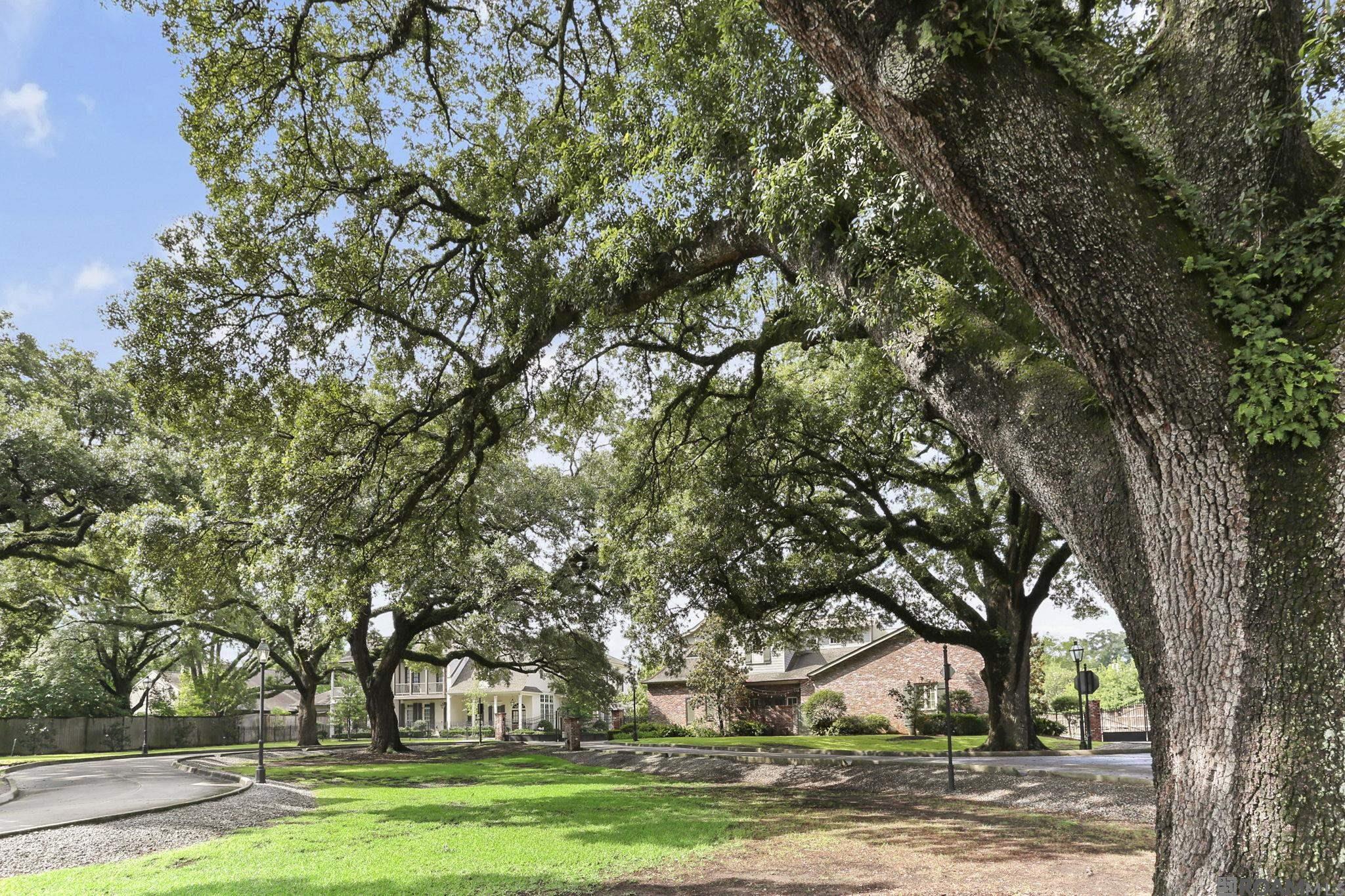 4025 Perkins Ln Alley, Baton Rouge, Louisiana image 27
