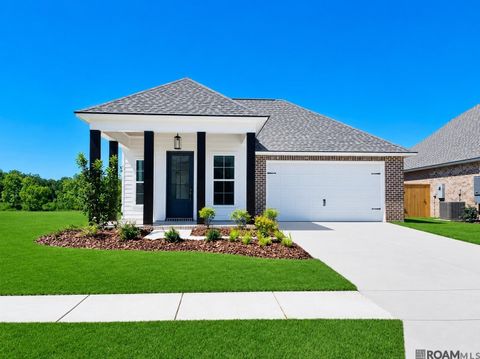 Homes For Sale - 36176 Belle Parc Ave<br/> Geismar, LA 70734