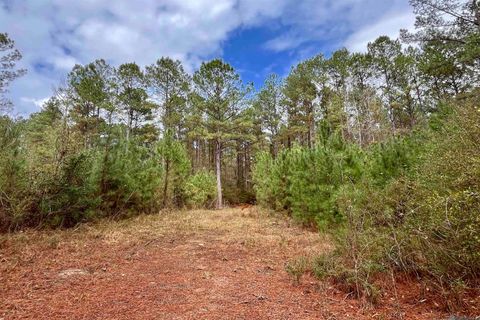 Vacant Land For Sale - 01 Hinton Rd<br/> Gloster, MS 39638