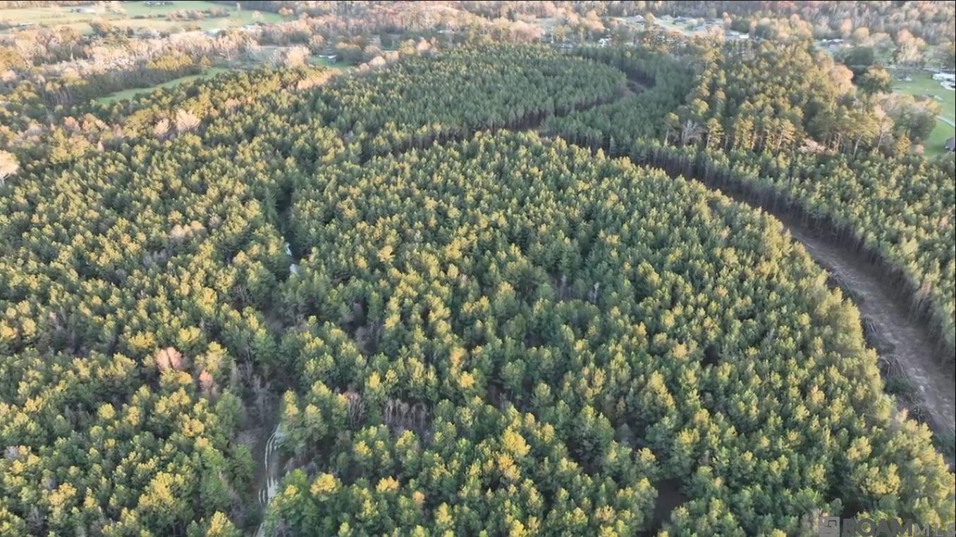 Lot 26 Copper Pass, Livingston, Louisiana image 6