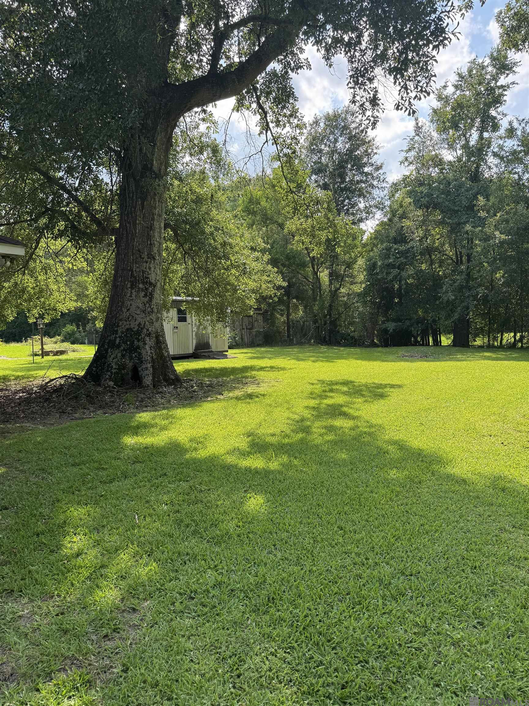2023 Fern St, Denham Springs, Louisiana image 4
