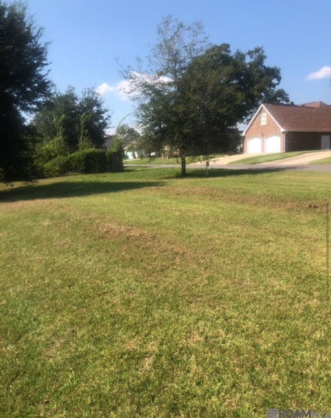 Vacant Land For Sale - LOT 57 River Highlands<br/> St Amant, LA 70774
