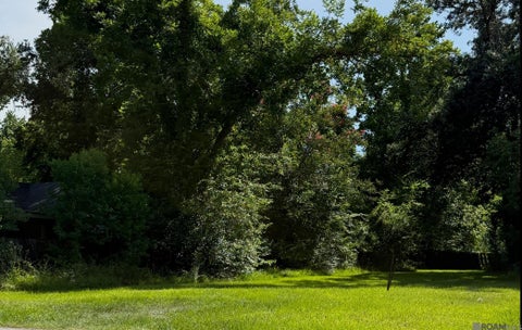 Vacant Land For Sale - 319 N Marchand Ave<br/> Gonzales, LA 70737