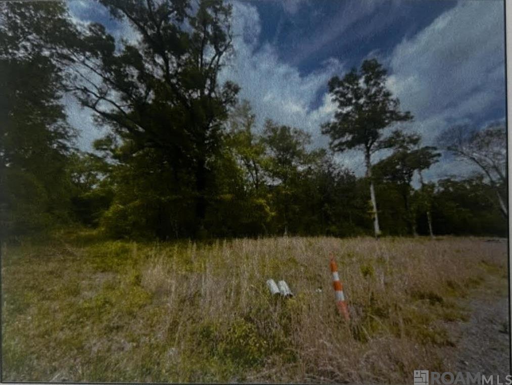 24041 Reames Rd, Zachary, Louisiana image 1