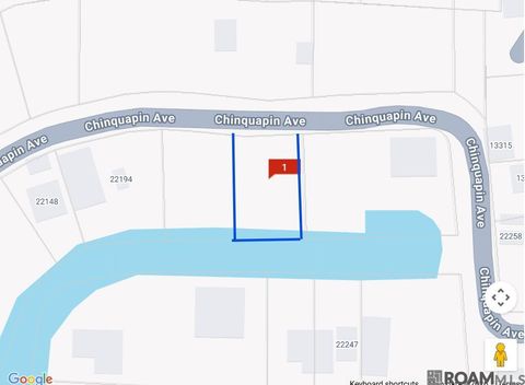 Vacant Land For Sale - 22222 Chinquapin Ave<br/> Maurepas, LA 70449