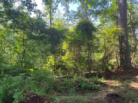 Vacant Land For Sale - LOT 2 Hepzibah Rd<br/> Clinton, LA 70722