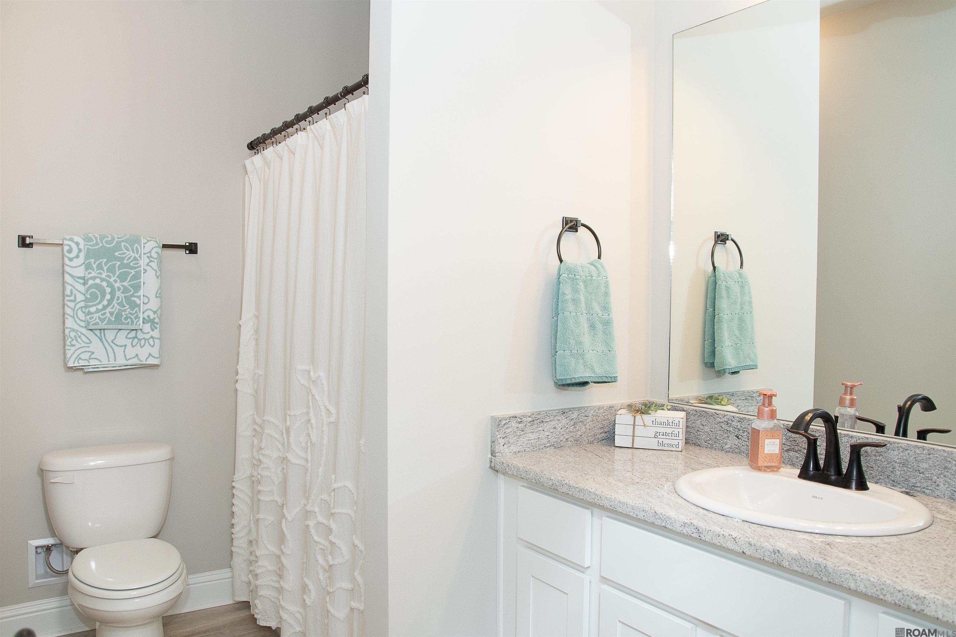 14151 Bongo Trail Dr, Denham Springs, Louisiana image 13