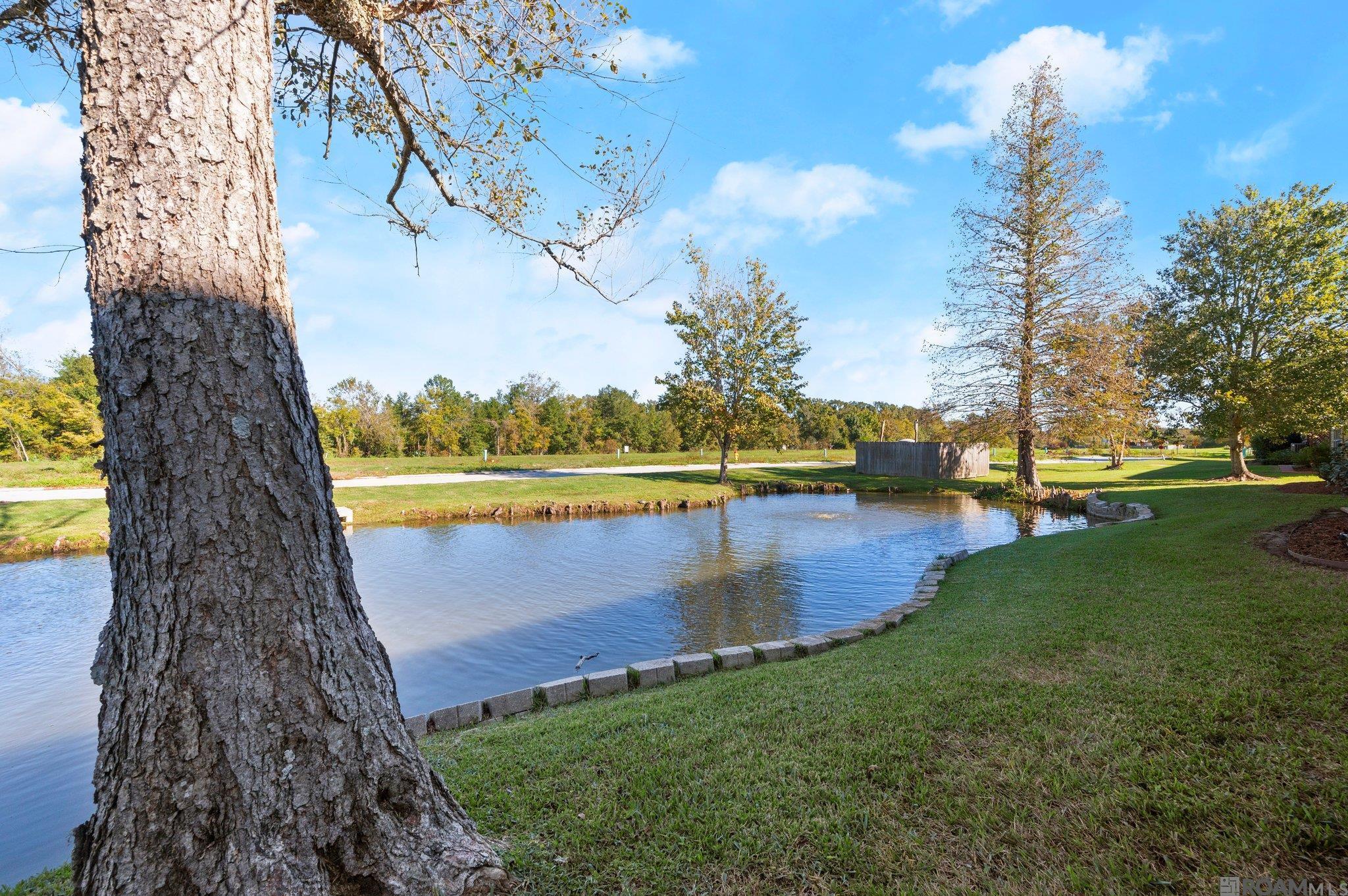 40113 Champion Tif Dr, Gonzales, Louisiana image 31