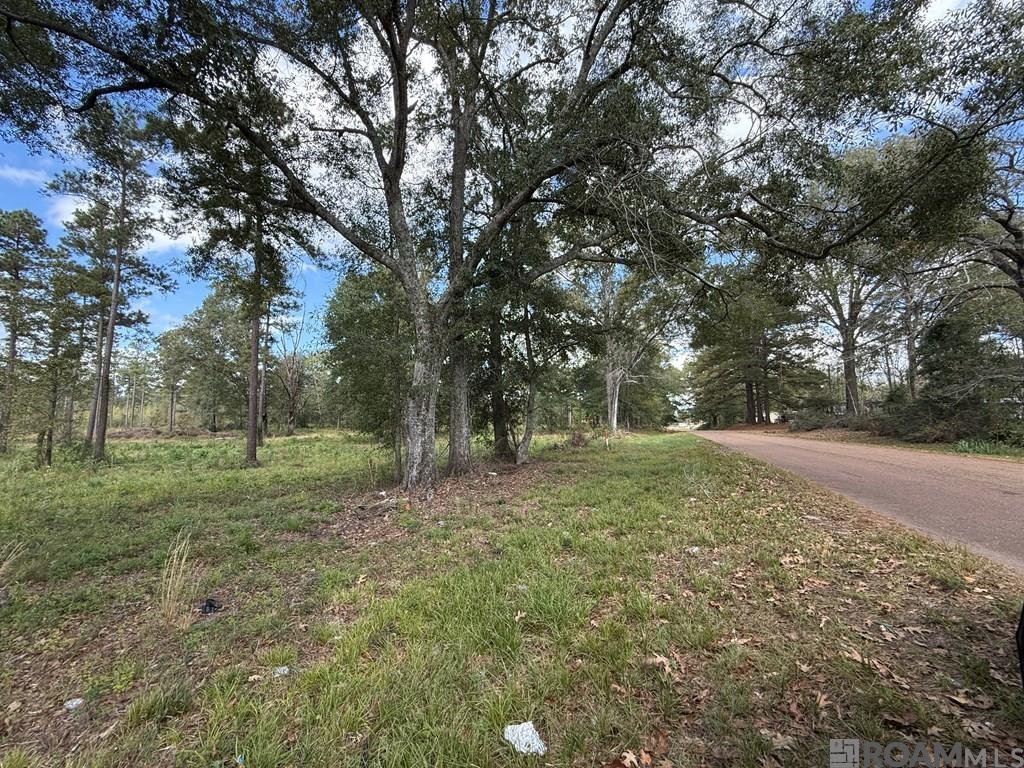 LOT 5 Old Hwy 33, Centreville, Mississippi image 6