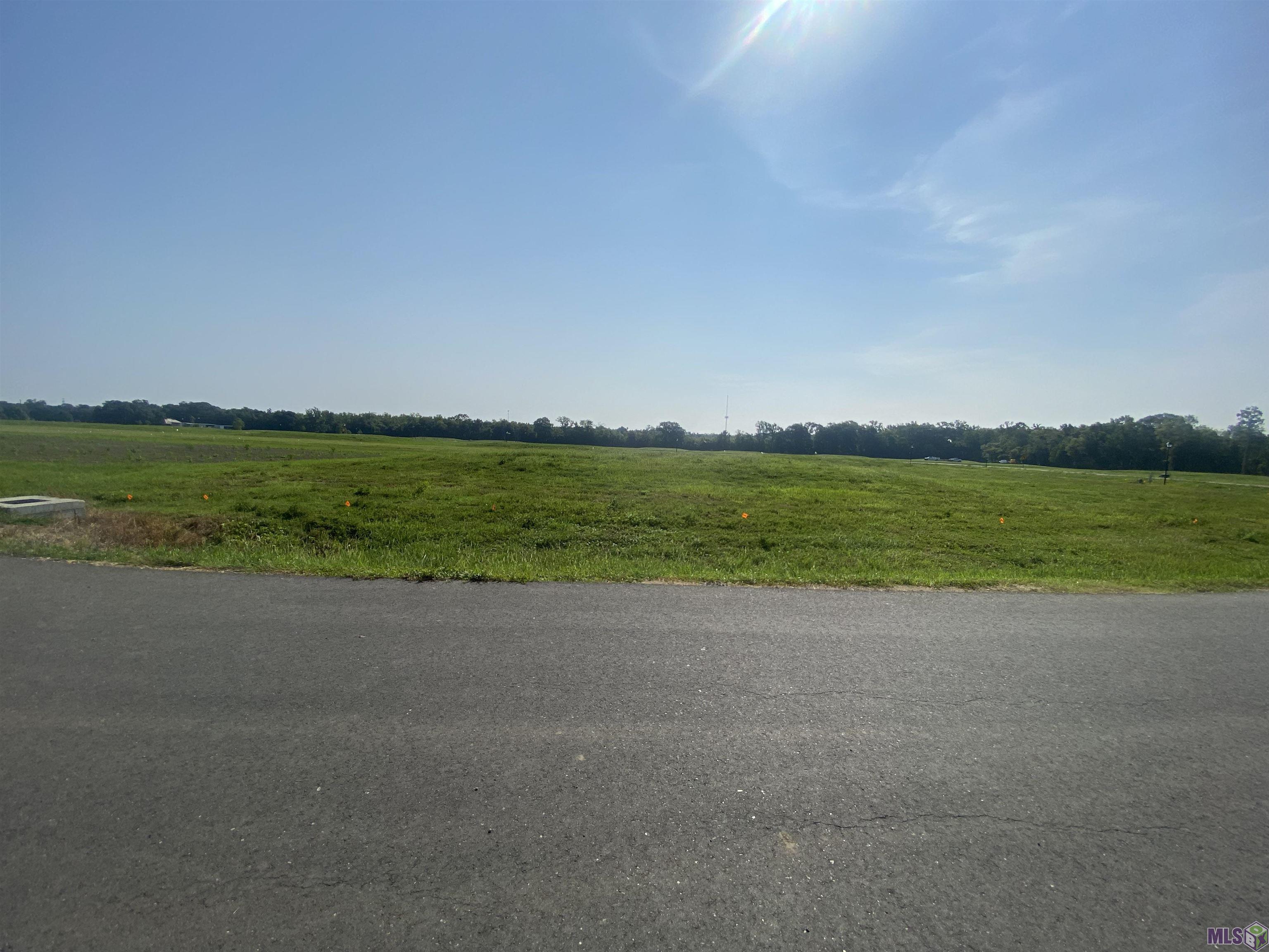 Lot 19 Buddy Gore Rd, Gonzales, Louisiana image 5