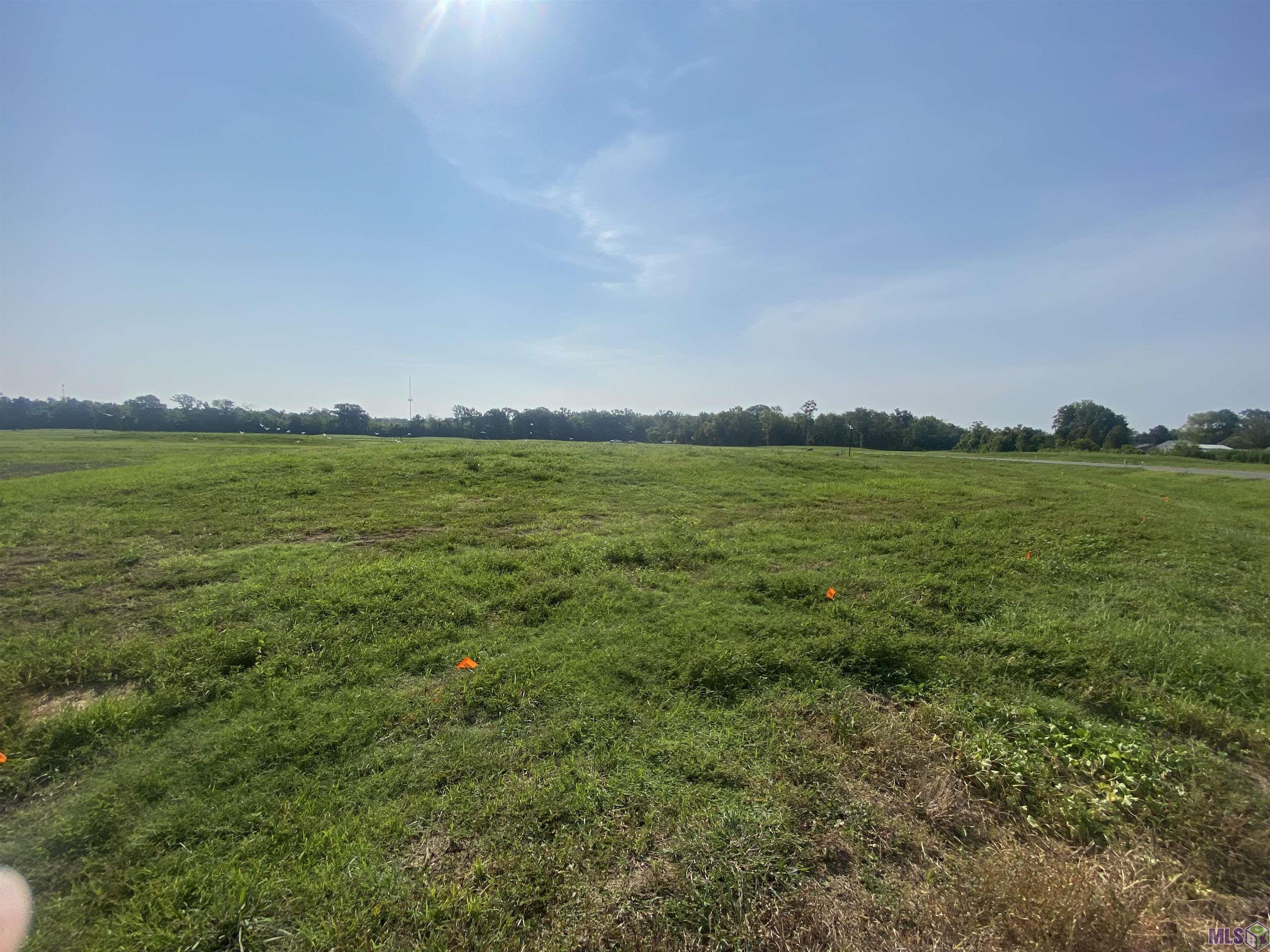 Lot 19 Buddy Gore Rd, Gonzales, Louisiana image 1