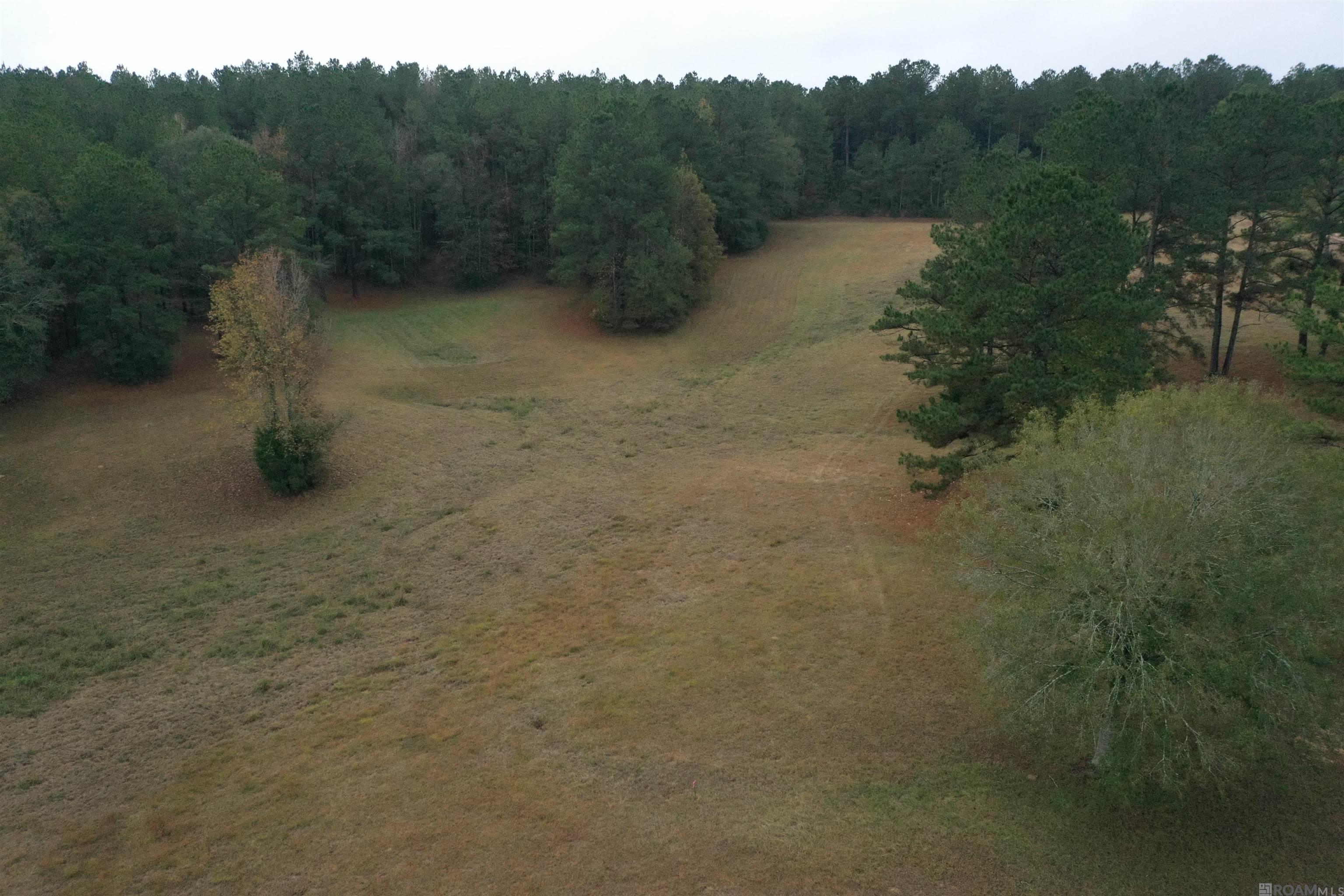 St Francisville, Louisiana, 70775, United States, 3 Bedrooms Bedrooms, ,2 BathroomsBathrooms,Residential,Active,2041573