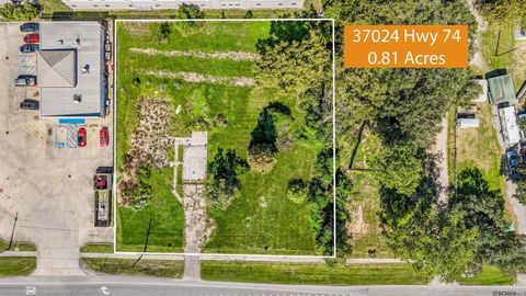 Vacant Land For Sale - 37024 La Hwy 74<br/> Geismar, LA 70734