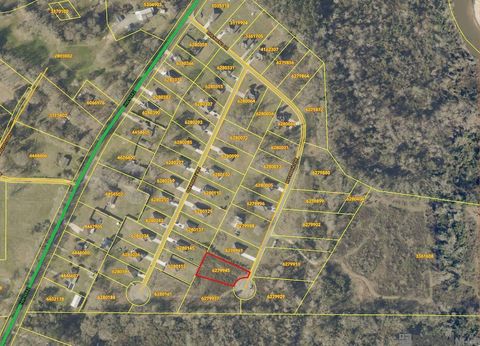 Vacant Land For Sale - 51159 Riverbend Dr<br/> Tangipahoa County, Independence, LA 70443