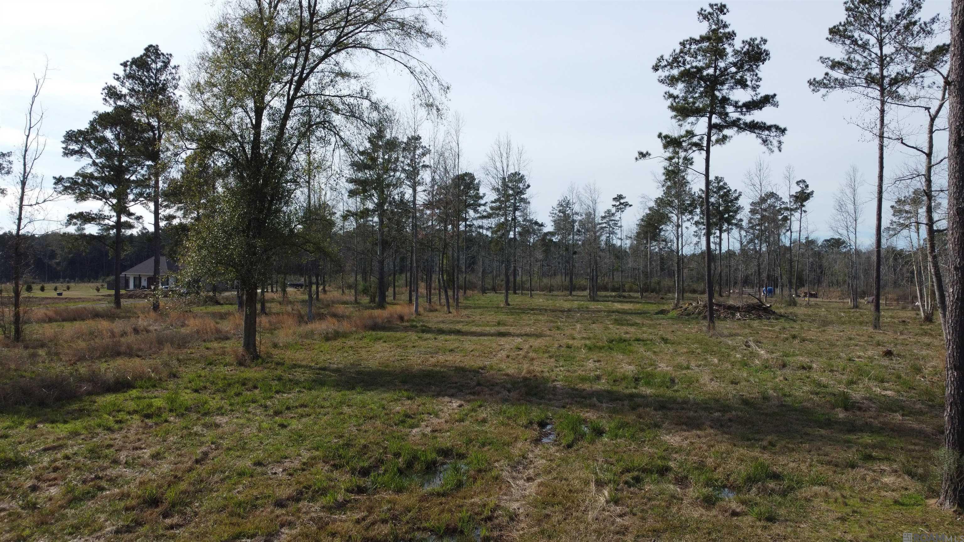 Lot 30 Tungoil Rd, Pine Grove, Louisiana image 3