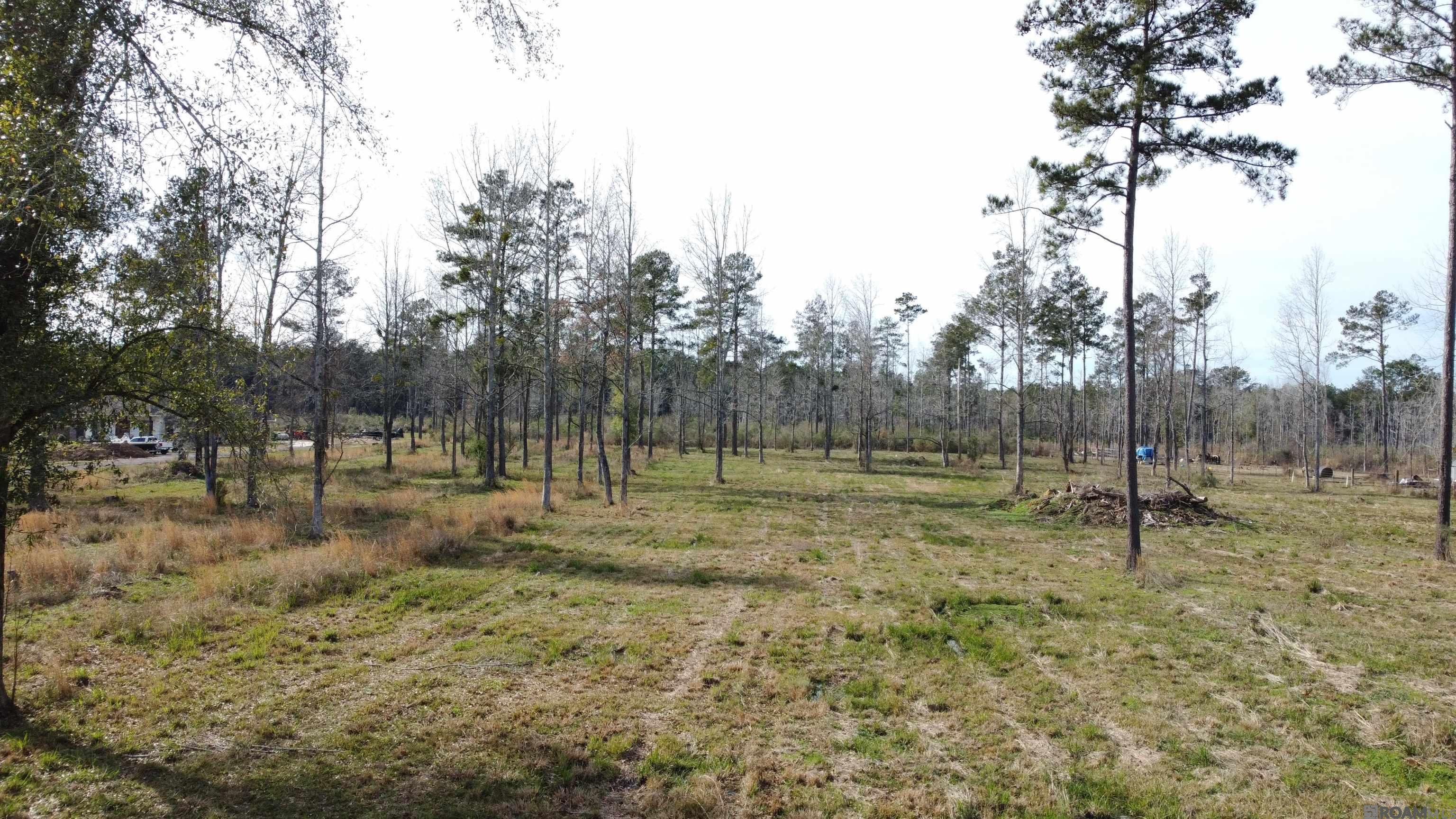 Lot 30 Tungoil Rd, Pine Grove, Louisiana image 1