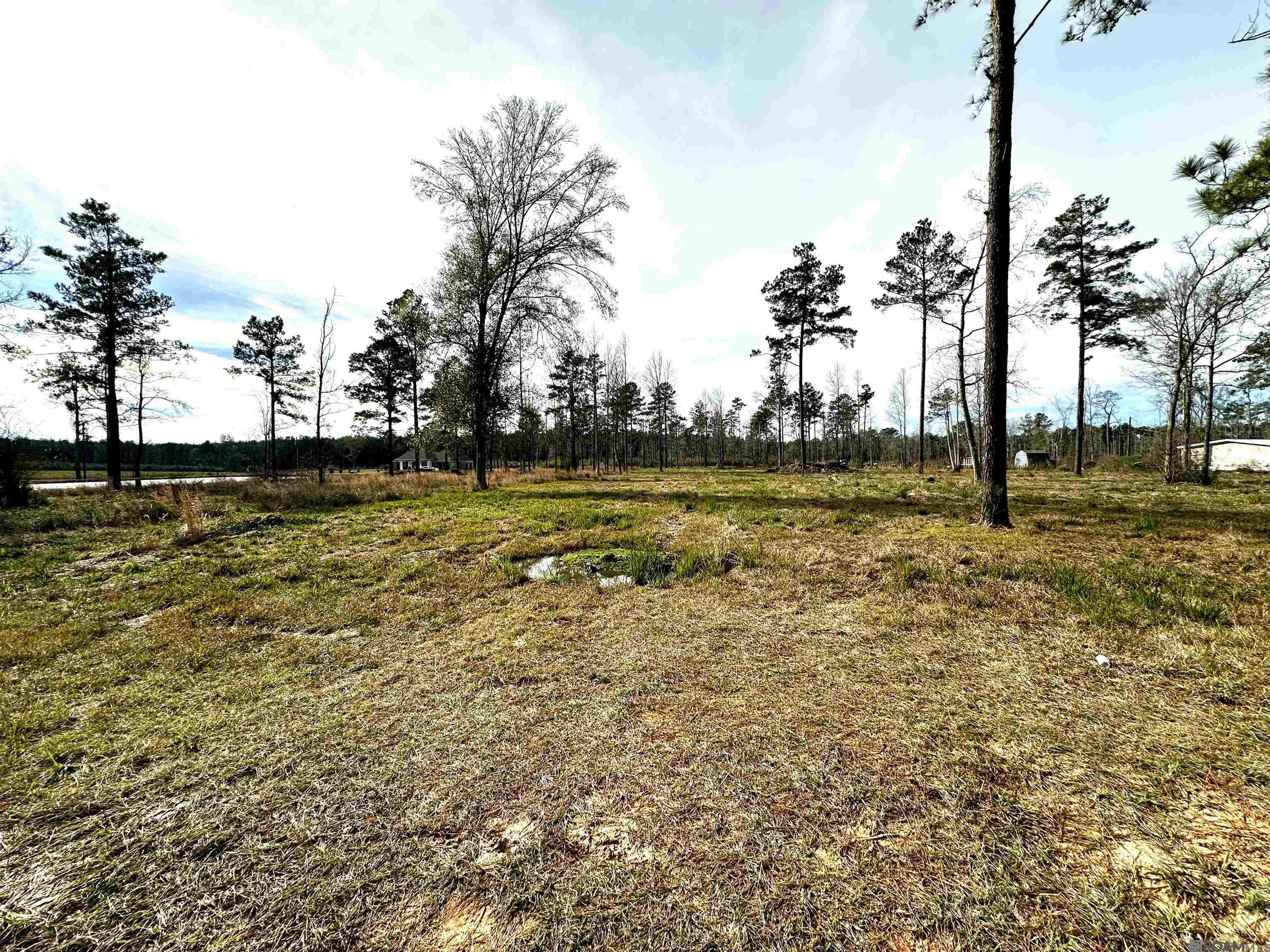 Lot 30 Tungoil Rd, Pine Grove, Louisiana image 2