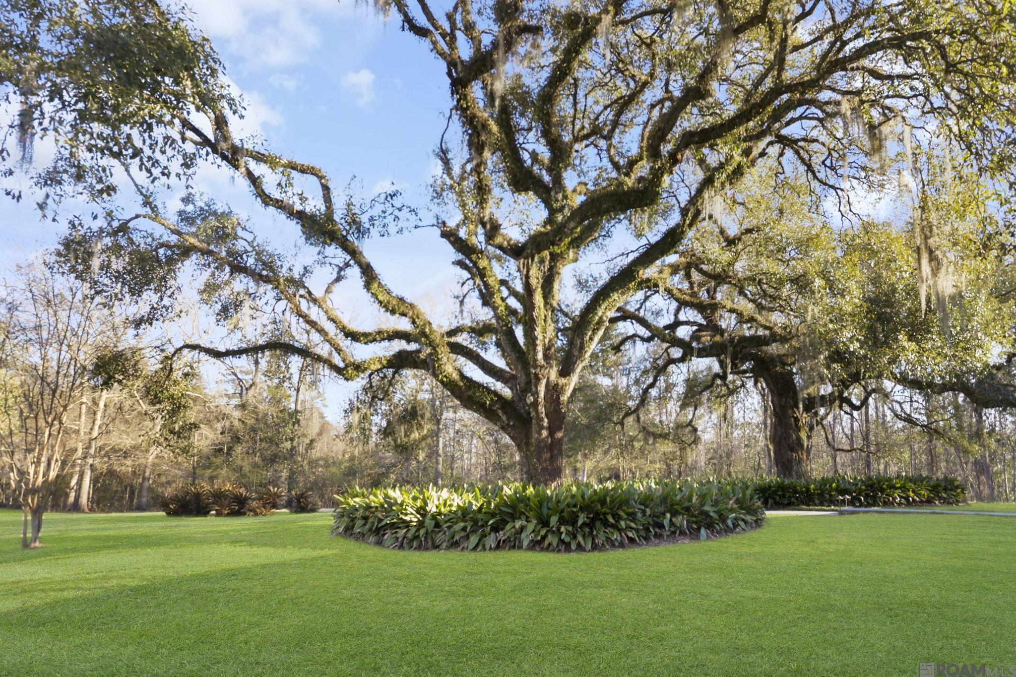 9551 Myrtle Dr, Saint Francisville, Louisiana image 2