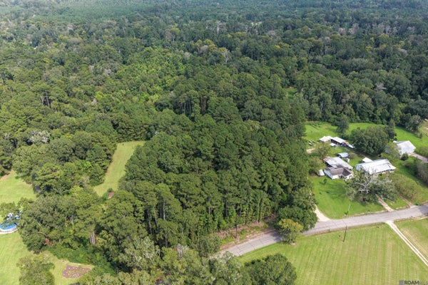 N DOYLE RD, HOLDEN, LA 70744 - Image bc626617d31b6da59ea46a6e124f2083/1060098734