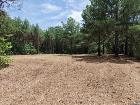 Vacant Land For Sale - TRACT A Jackson Rd<br/> Tangipahoa County, Kentwood, LA 70444