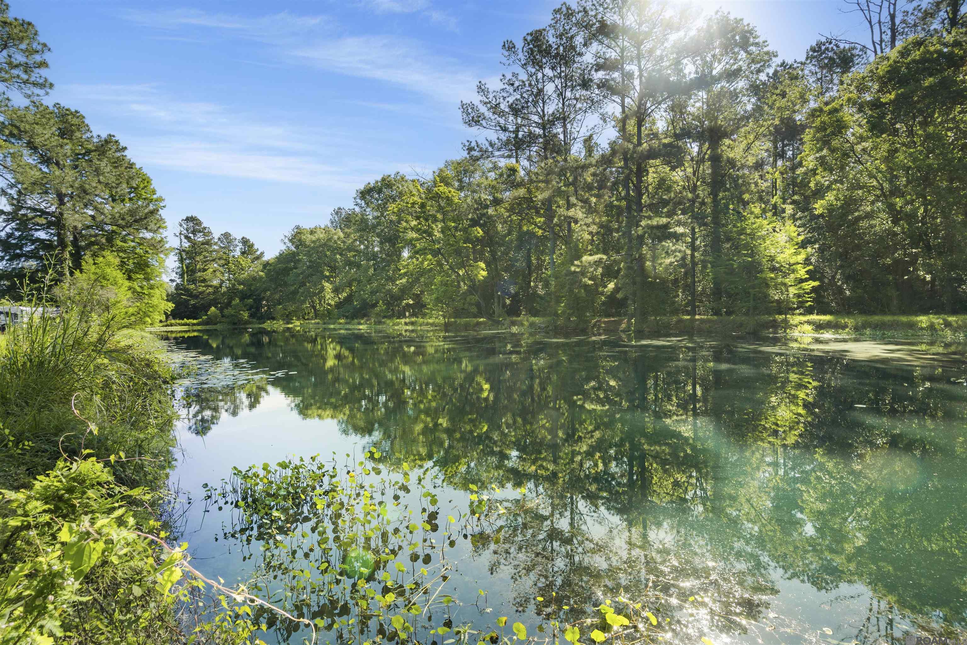 19960 Greenwell Springs Rd, Greenwell Springs, Louisiana image 17