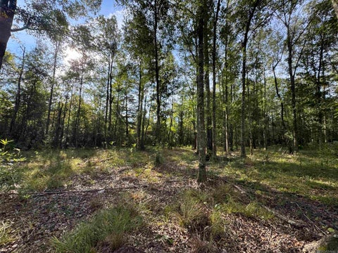 Vacant Land For Sale - SF-9 La Hwy 16<br/> Denham Springs, LA 70706