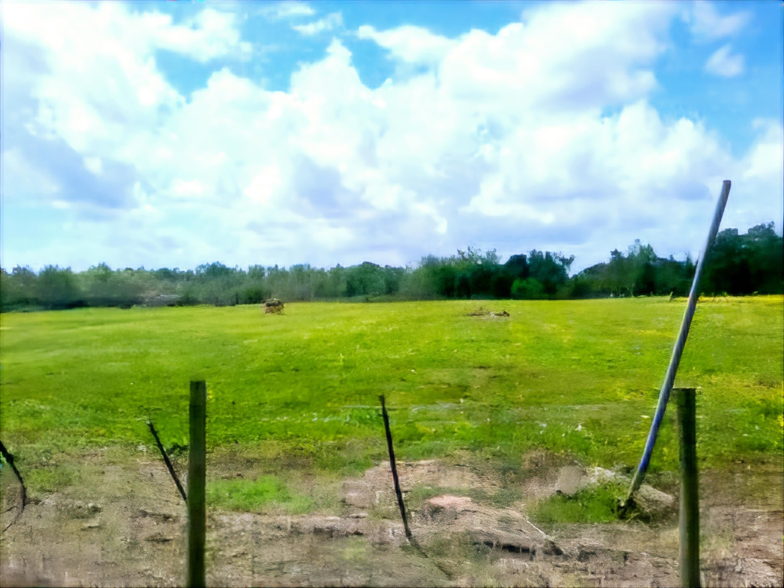 145 Bayou Blue Bypass Rd, Gray, Louisiana image 5