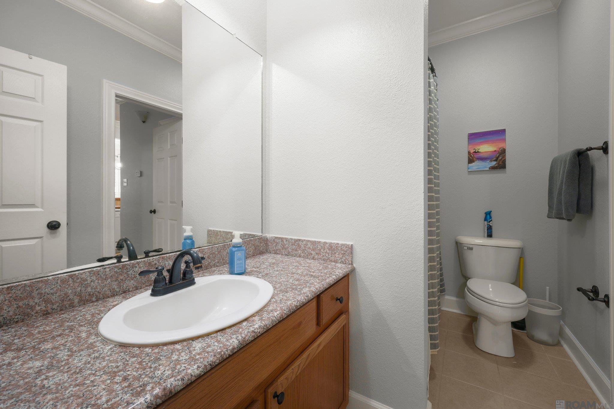 710 E Boyd Dr #302, Baton Rouge, Louisiana image 11