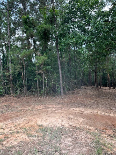 Vacant Land For Sale - TBD Hwy 10<br/> East Feliciana County, Clinton, LA 70722