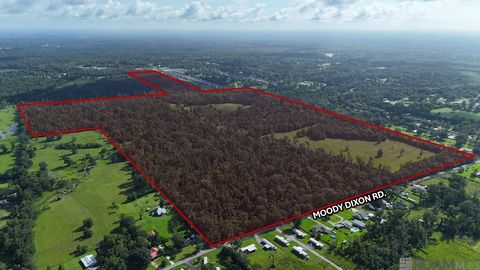 Vacant Land For Sale - 42420 Moody Dixon Rd<br/> Ascension County, Prairieville, LA 70769