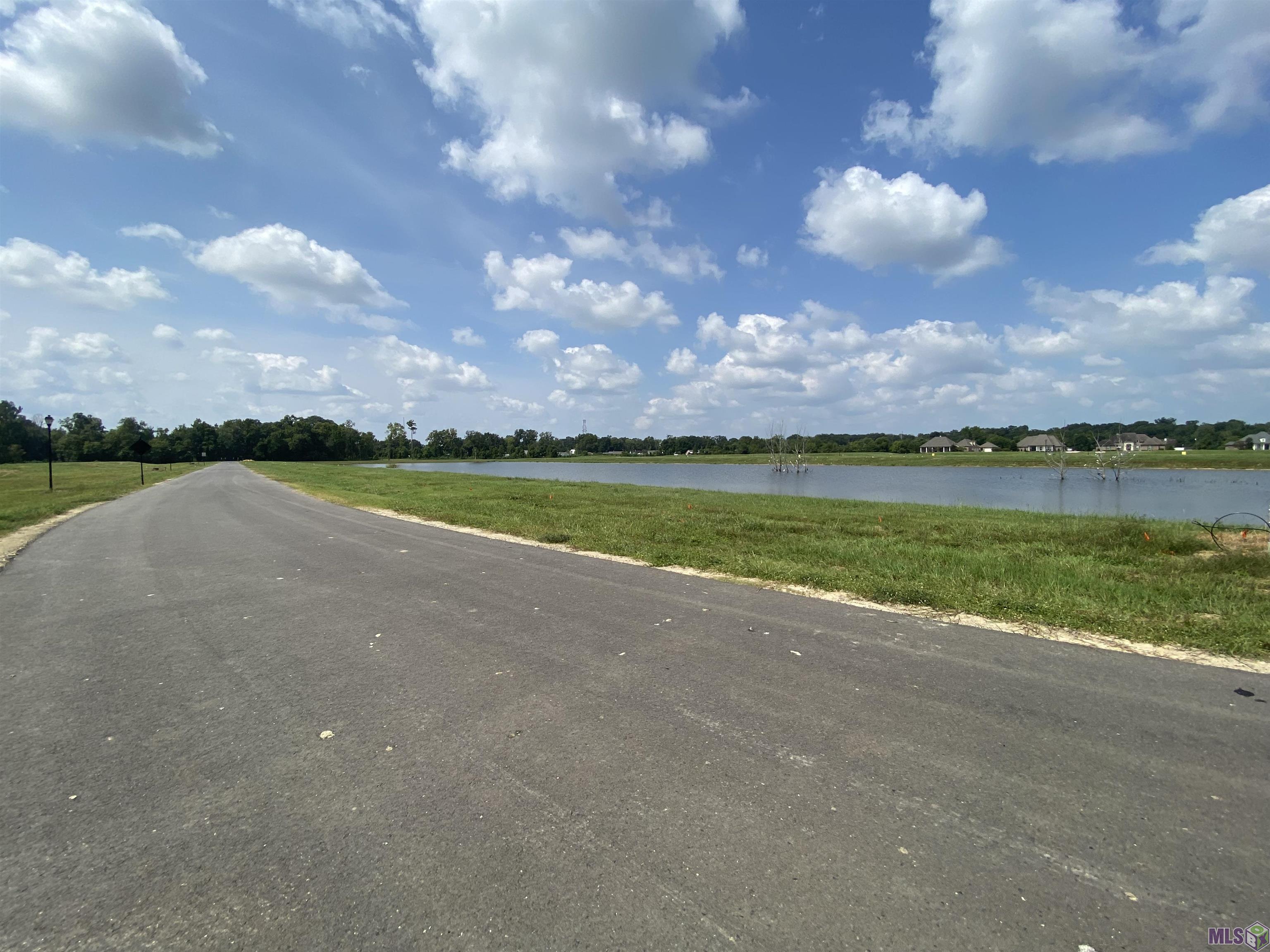 Lot 30 Buddy Gore Rd, Gonzales, Louisiana image 5
