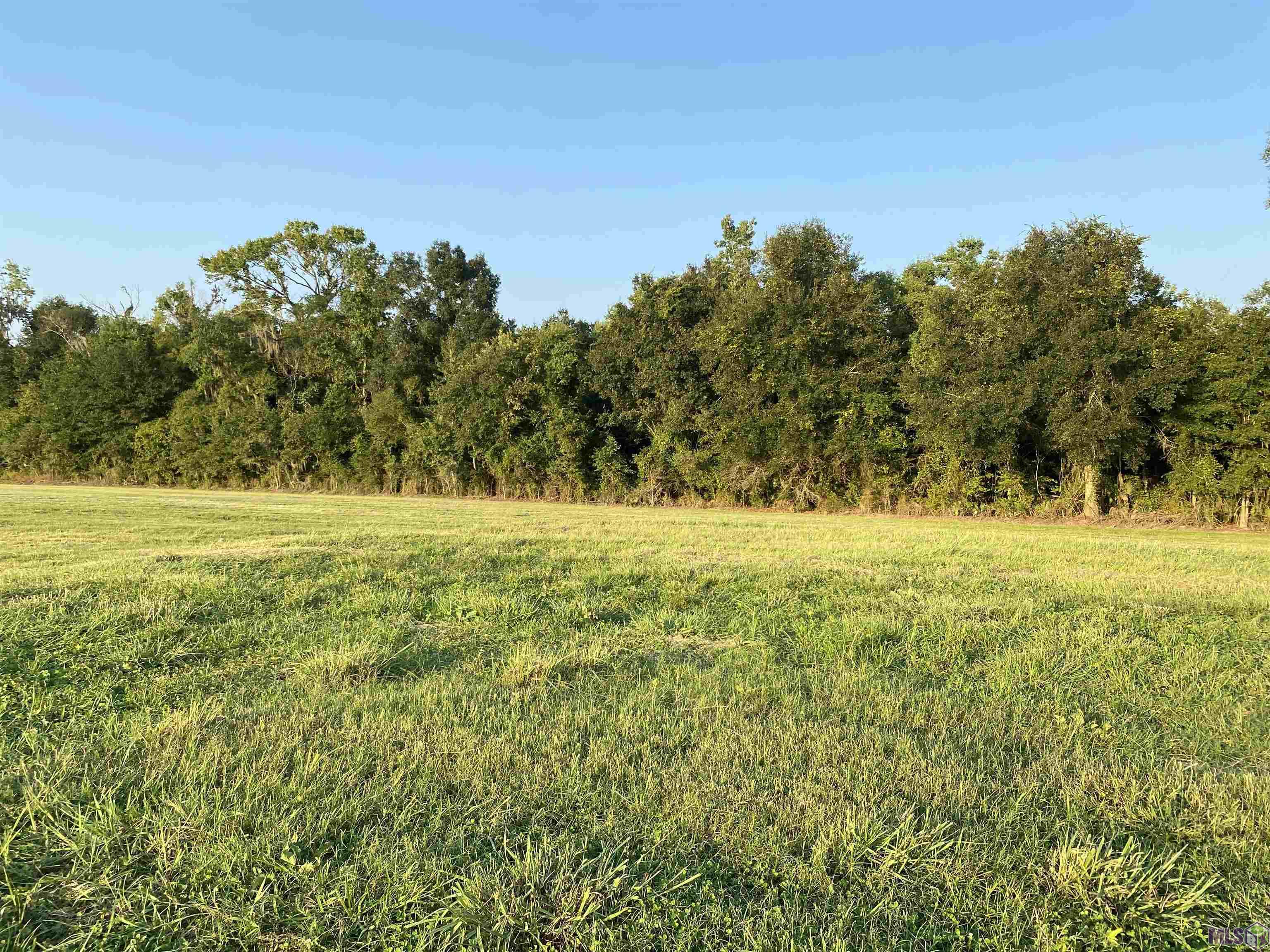 Lot 30 Buddy Gore Rd, Gonzales, Louisiana image 2