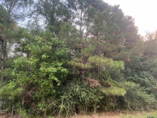 LOT 6-A-7 HWY 10, CLINTON, LA 70722 - Image be2ffa9808e4512f548e82aa483e1c49/2826223757