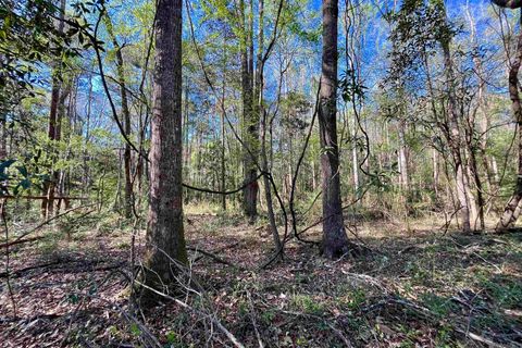 Vacant Land For Sale - 26 Lillian Ln<br/> Ethel, LA 70730