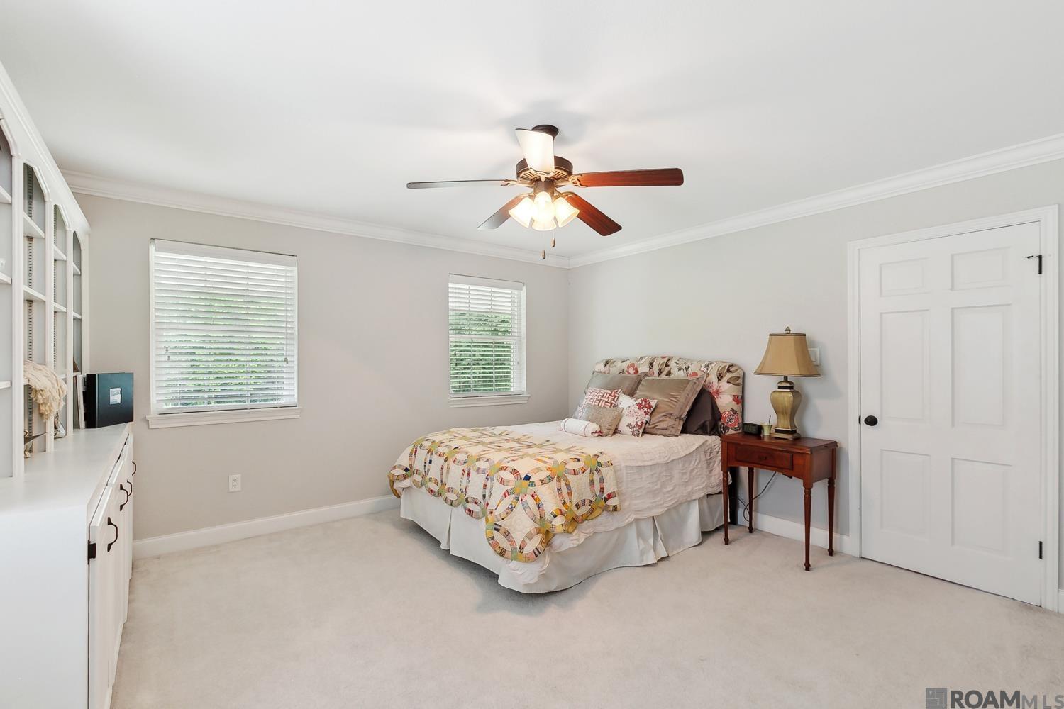 8196 Wildwood Dr, Denham Springs, Louisiana image 19