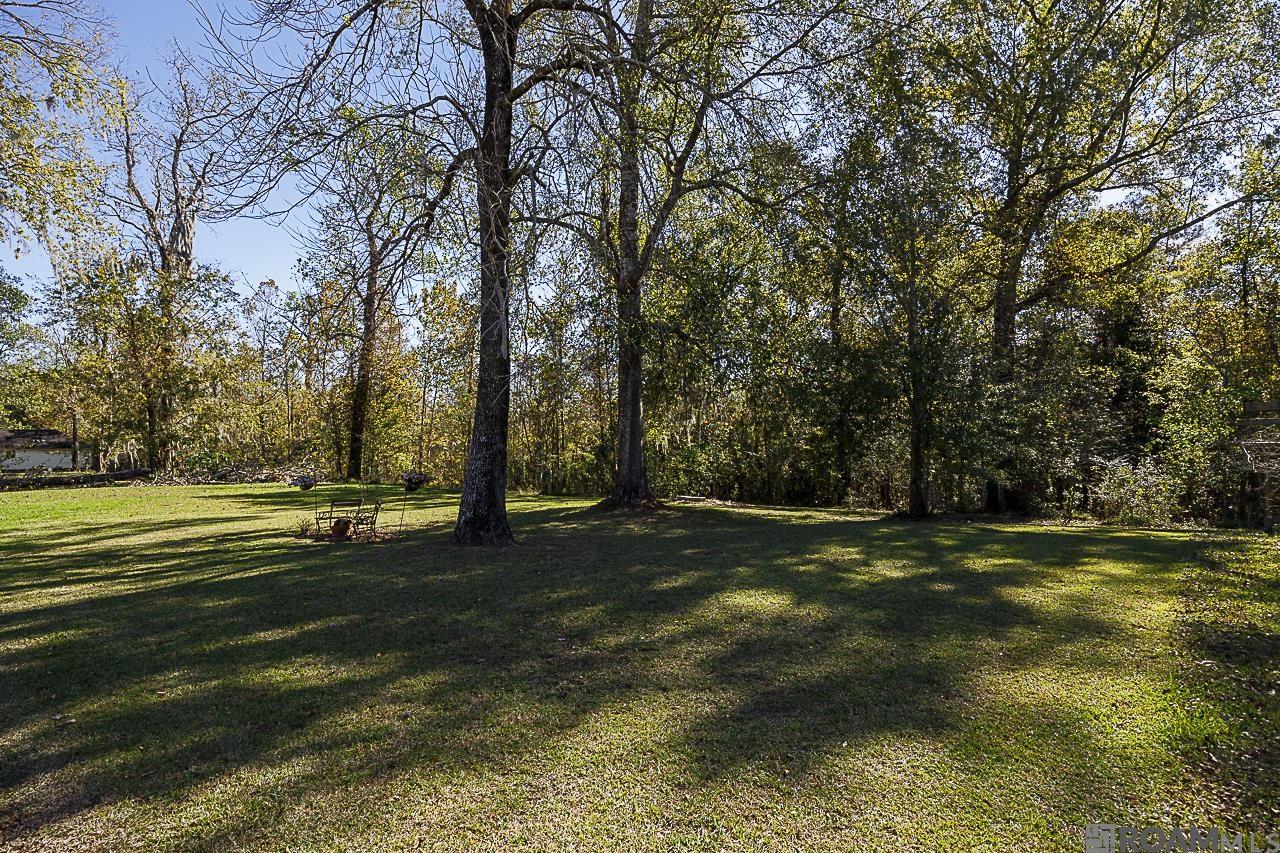 21206 Diversion Canal Rd, Maurepas, Louisiana image 23