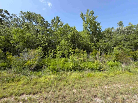 Vacant Land For Sale - TBD Bayou Black Dr<br/> Terrebonne County, Gibson, LA 70356