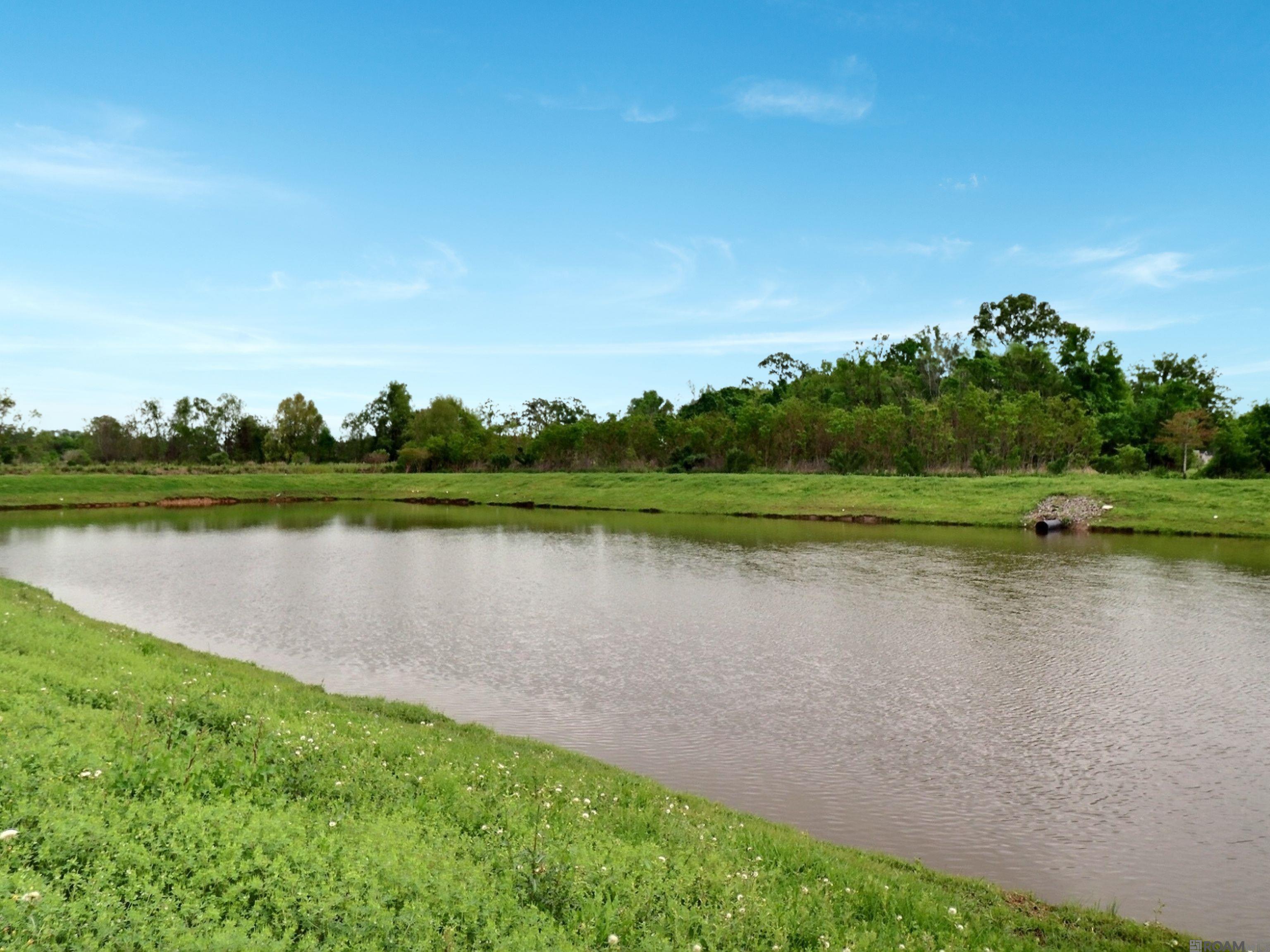 39513 Ridgeland Dr, Gonzales, Louisiana image 26